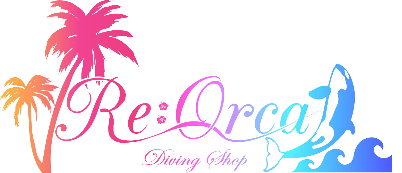 沖縄　水中写真と水中動画　Re:Orca(リオルカ)